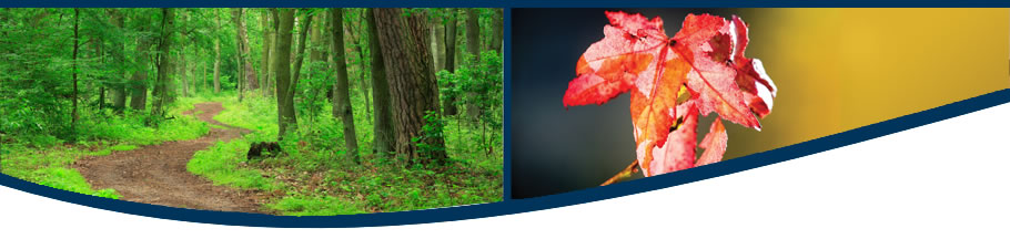 Lakes Village Killaloe